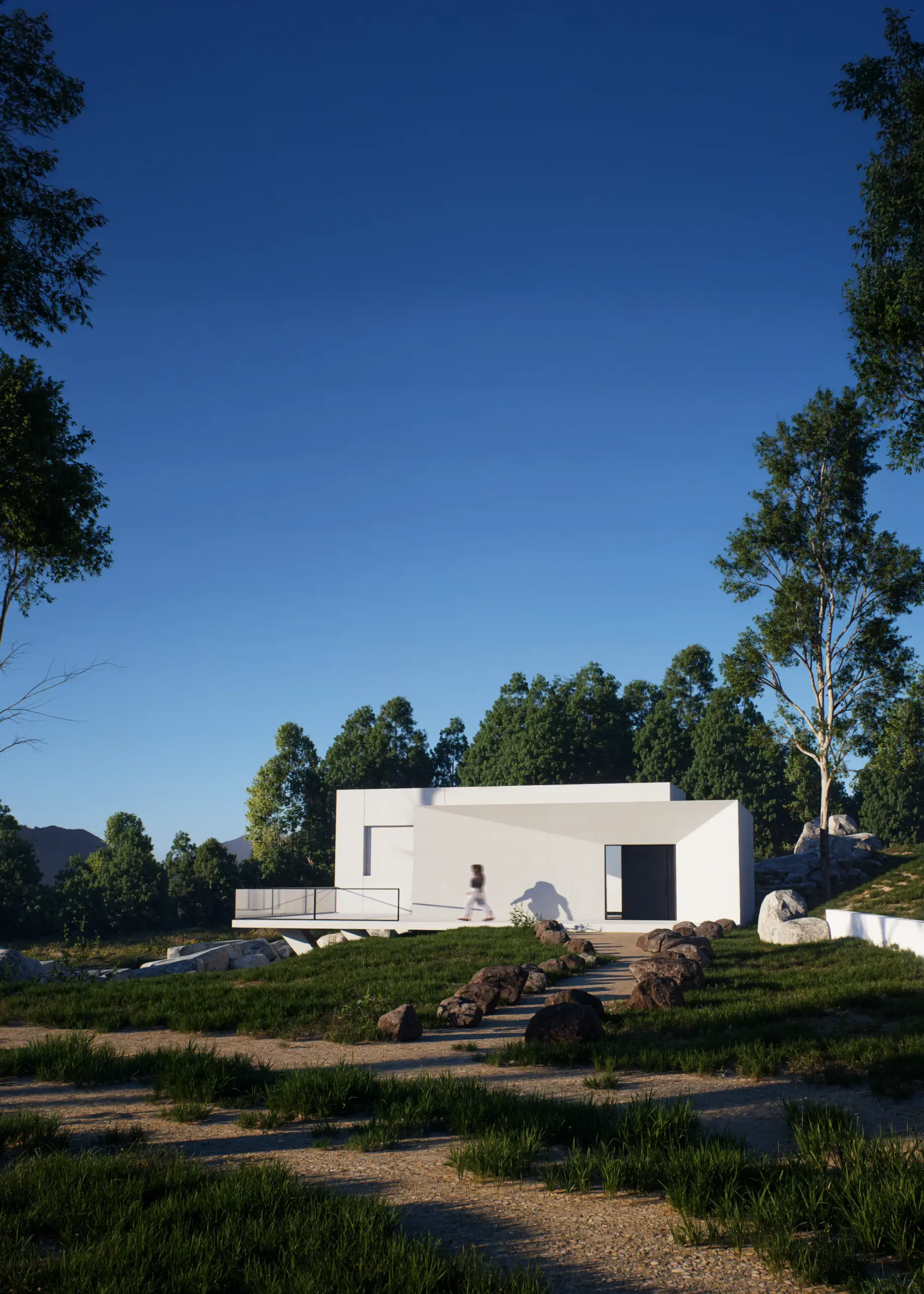 D5 Render - House Modern