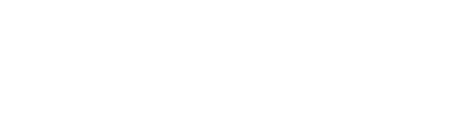 Lumion